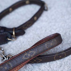 Louis Vuitton Dog Head Collar with Matching Leash
